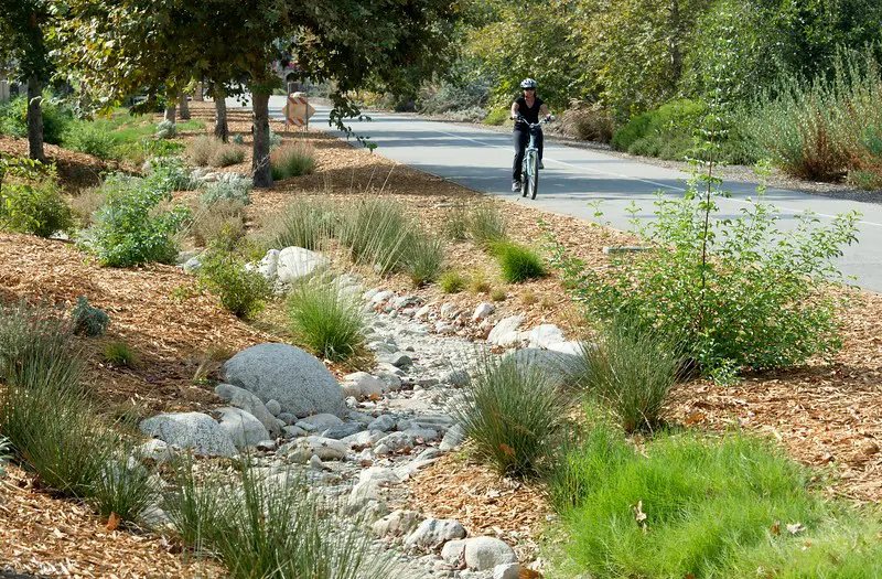 Landscape design
