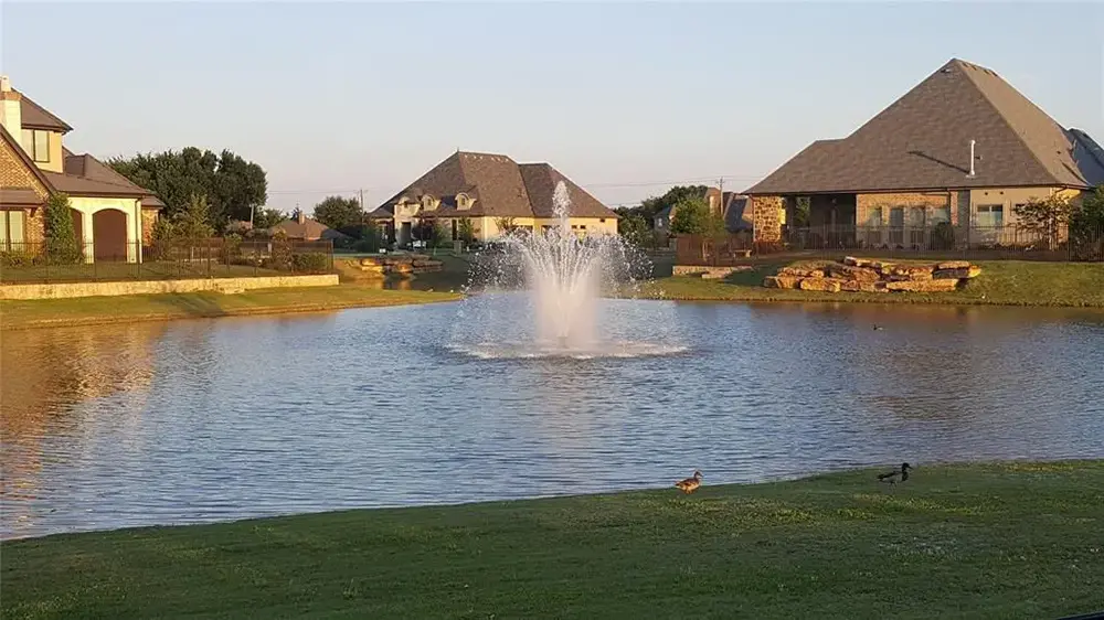 Pond behind houses