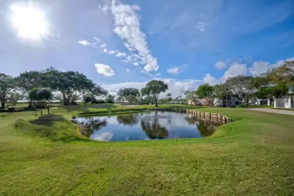 Pond
