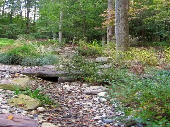 Landscape with trees shrubs and rocks