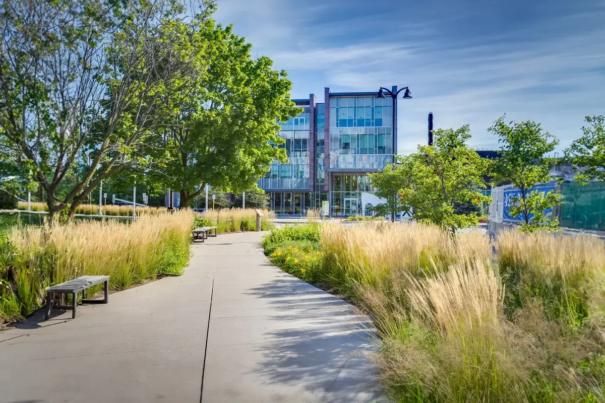 Building with sidewalk trees and grass